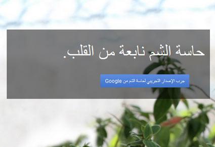 إستمتع بخدمة «حاسة الشم» الجديدة من Google 